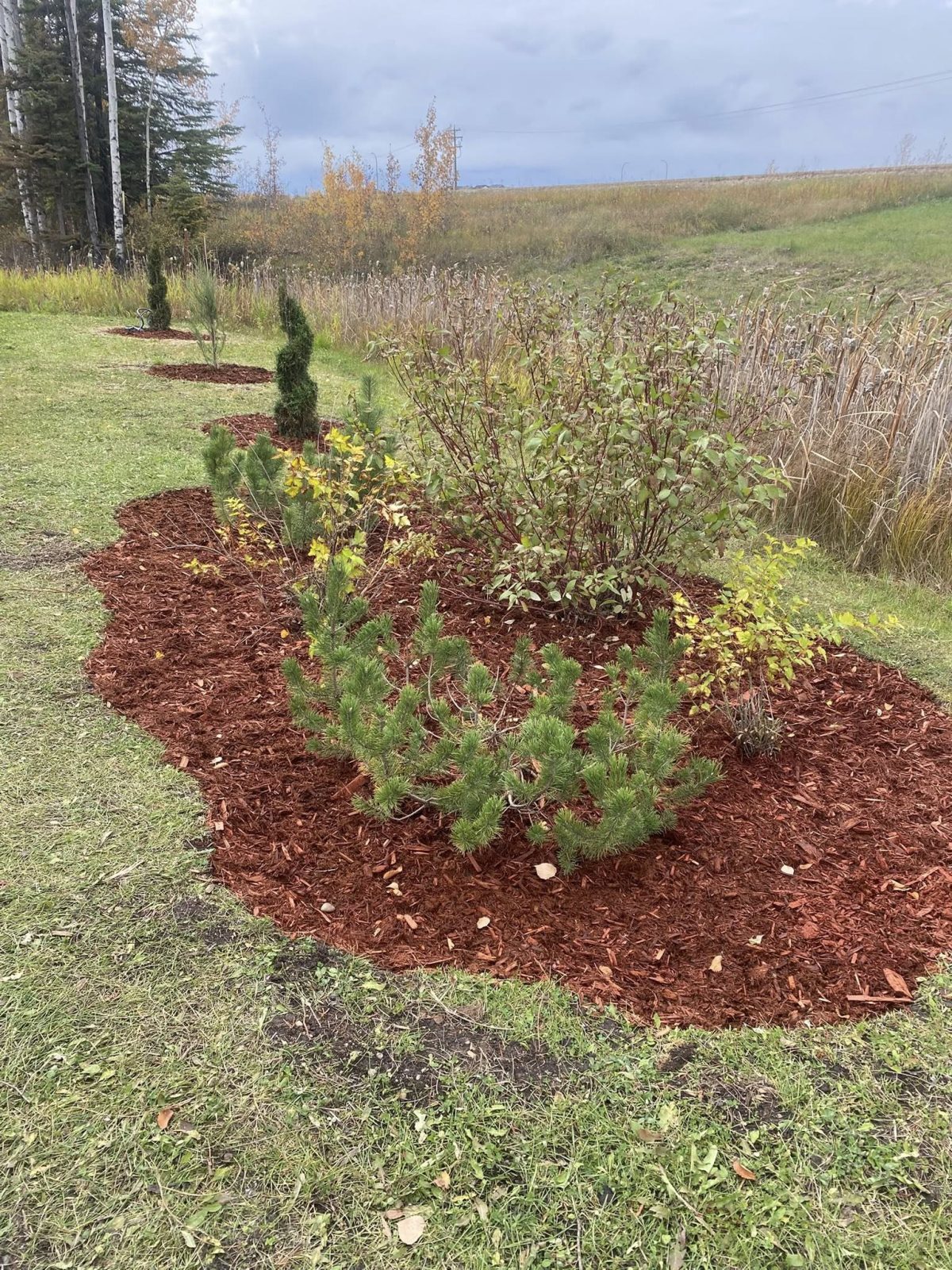Photos and short notes help LawnSharks price manage Grass Clippings on Commercial Properties with less back-and-forth.